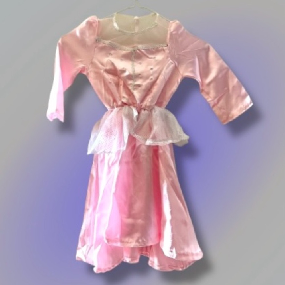 Handmade Pink Princess Dress Costume Girls 3T 4T 5T 6 Royal Ballgown Velvet